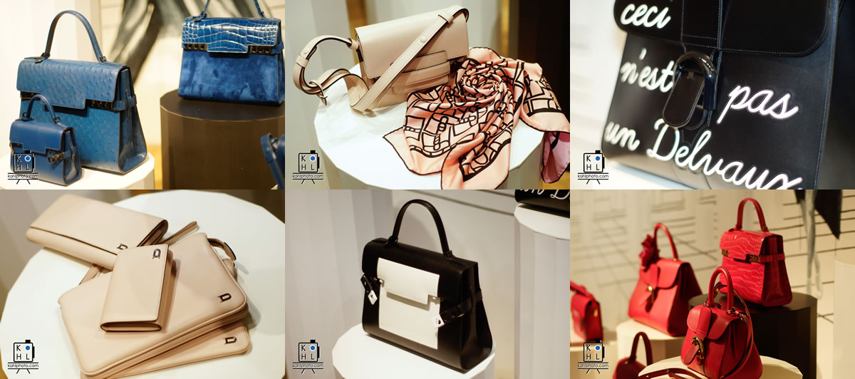 Luxury Delvaux Handbags